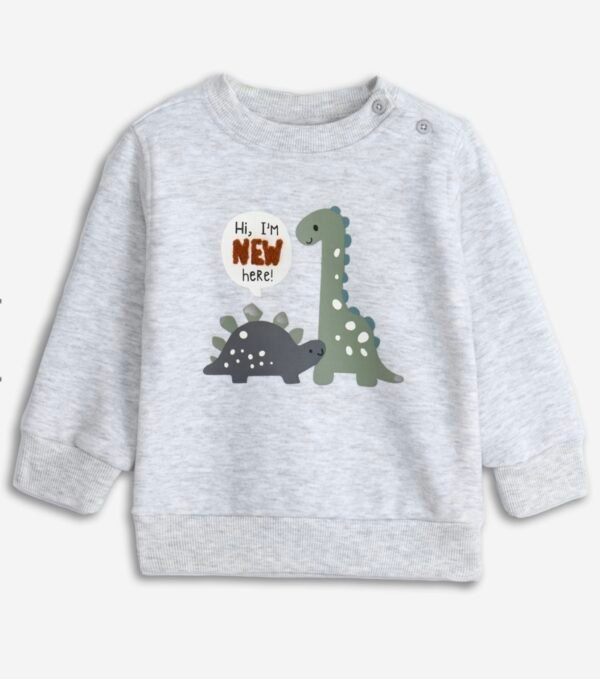 Sudadera - Dinosaurio